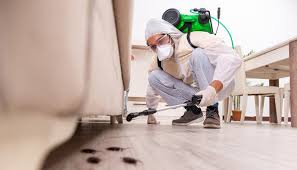 Best Fumigation Services  in Blissfield, MI